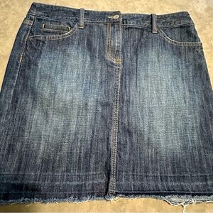Loft Denim Skirt